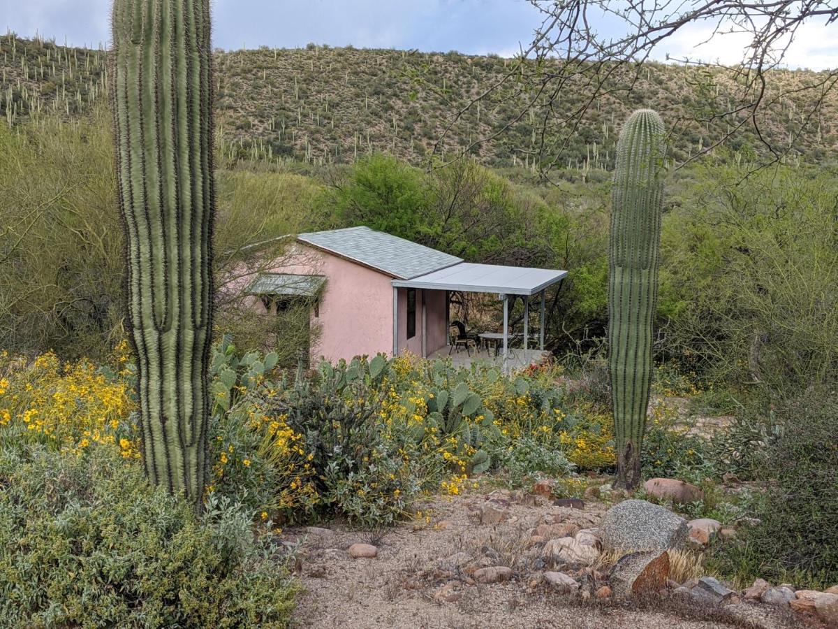 Saguaro Lake Ranch Фаунтин-Хиллс Экстерьер фото